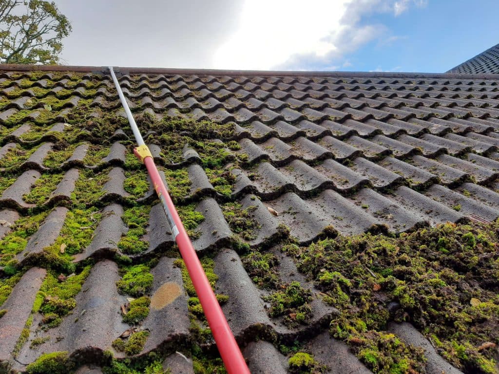 Wall and Render Cleaning - Look New Cleaning Service
